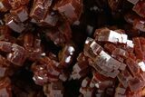 Glittering Ruby Red Vanadinite Crystals on Barite - Morocco #349456-1